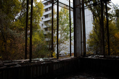 View of building through window