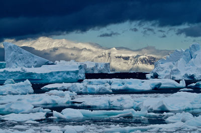 Icebergs in a lagoon in antarctica, sunlight glinting off the snow capped distant mountains.