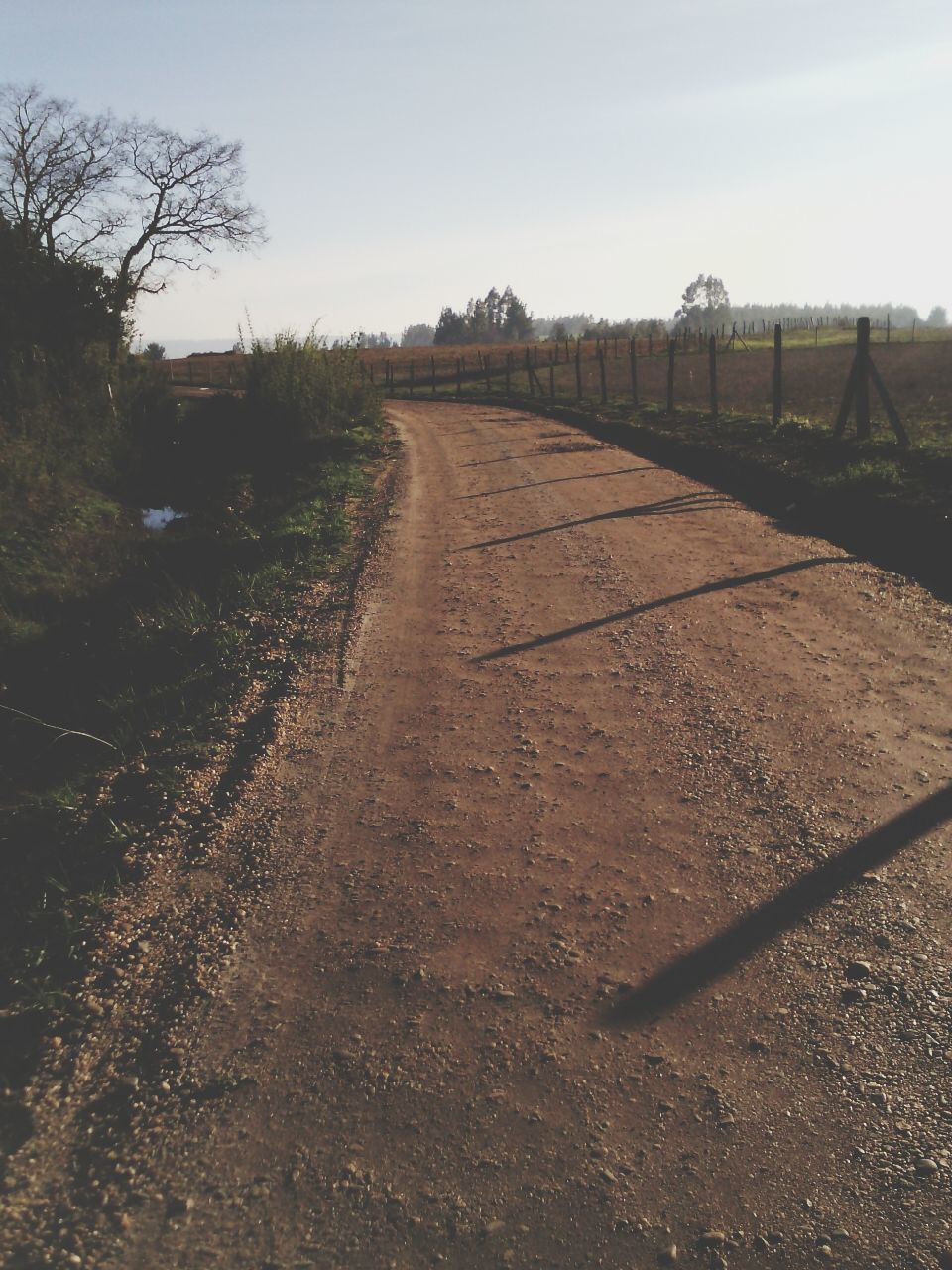 the way forward, diminishing perspective, vanishing point, clear sky, transportation, sky, tree, railroad track, surface level, tranquility, day, road, nature, landscape, no people, outdoors, field, tranquil scene, empty, long