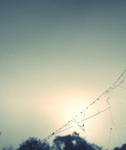 Low angle view of tree against sky