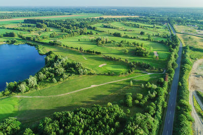 Aerial view of agricultural field