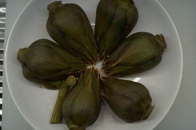 Directly above shot of flower in plate