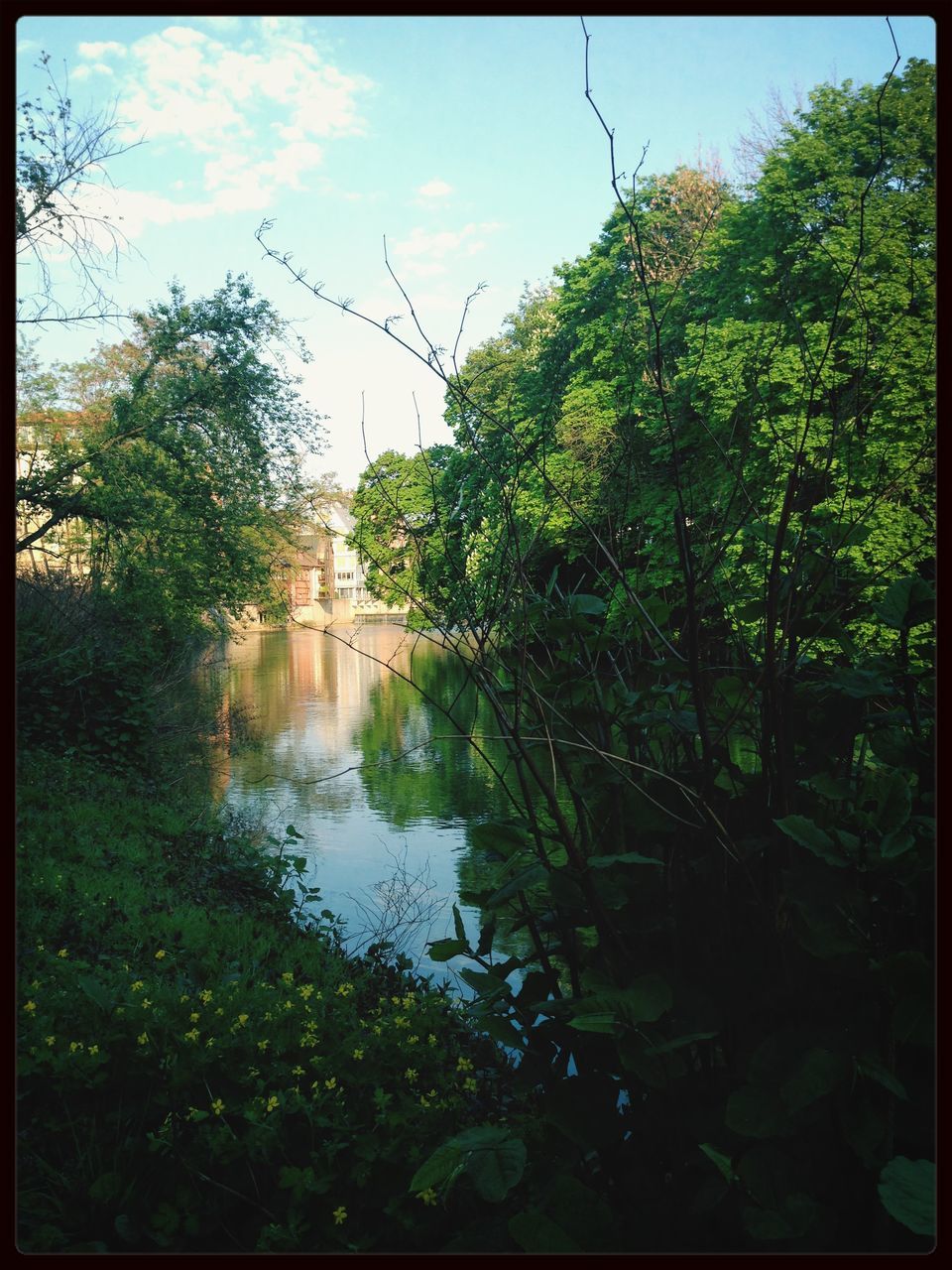 tree, water, reflection, transfer print, growth, sky, green color, plant, lake, nature, tranquility, auto post production filter, pond, built structure, river, beauty in nature, day, cloud - sky, waterfront, leaf