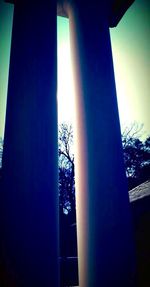 Low angle view of sun shining through trees