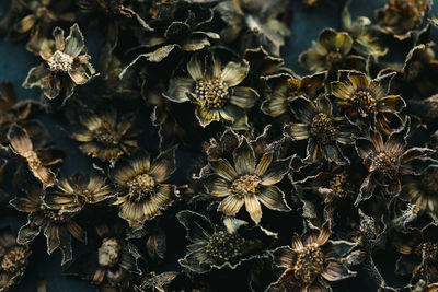Beautiful black color dry flowers seamless abstract pattern texture design natural background image.