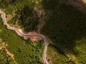 High angle view of winding road in forest