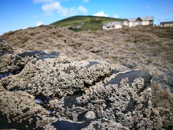 Close-up of rocks on shore against sky