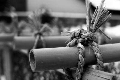 Close-up of bamboo structure