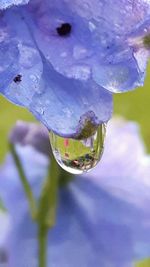 Close-up of water drop on leaf