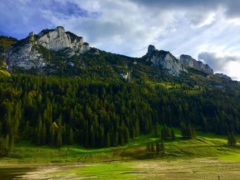 Scenic view of landscape against sky