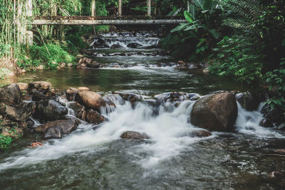 Stream flowing through rocks in forest