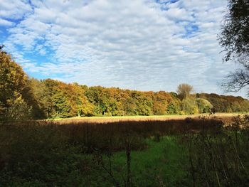 Scenic view of field against cloudy sky