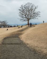 People walking on bare tree against sky