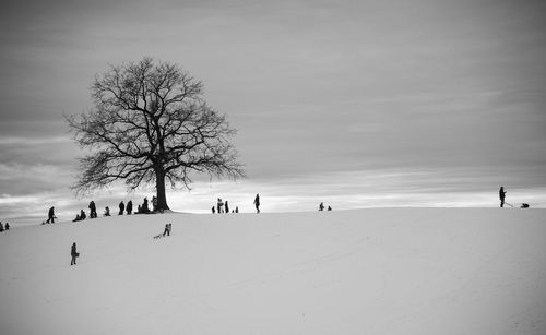 Group of people on snow covered land