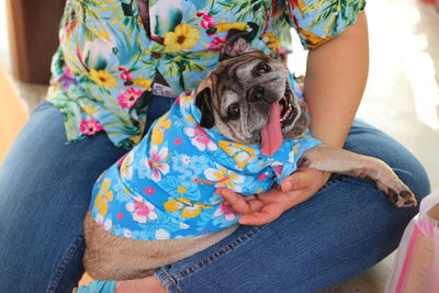 Midsection of woman with dog sitting at home