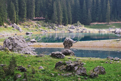 Scenic view of rocks by lake in forest