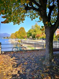 Park bench by river against sky during autumn