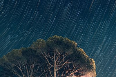 Stars move around a polar star. time-lapse of star trails in the night sky. 4k. tivoli, rome, italy