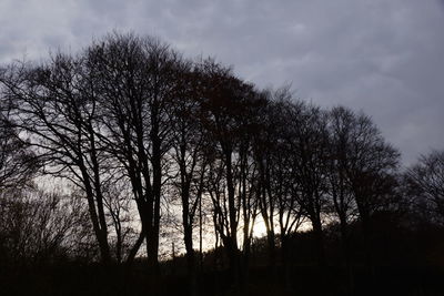 Bare trees on landscape against sky