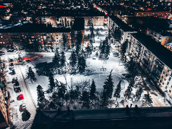 Trees and buildings in city during winter