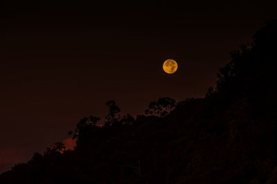 Low angle view of silhouette trees against sky at night