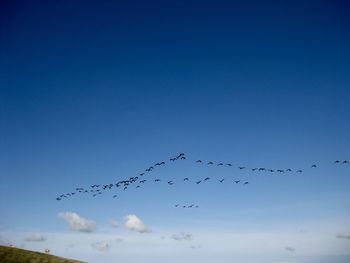 Low angle view of birds flying in sky