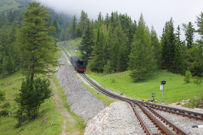 Steam train on railroad track amidst trees on hill