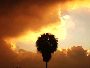 Silhouette palm trees against sky during sunset