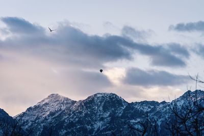 Birds flying over snowcapped mountains against sky