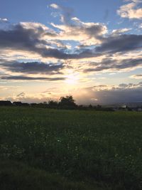 Scenic view of field against sky during sunset