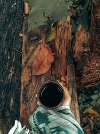 High angle view of person by tree during autumn