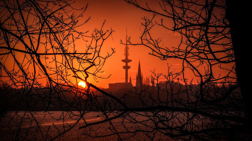 Silhouette of trees at sunset