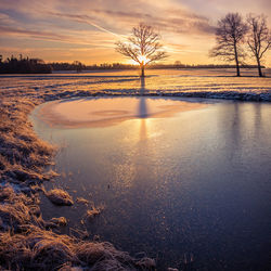 A beautiful frozen pond in the rural scene during the morning golden hour. 