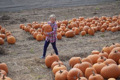 Full frame shot of pumpkins on field