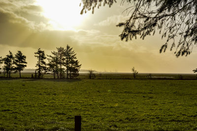 Scenic view of field against sky during sunset