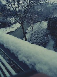Bare trees on snow covered land