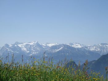 Scenic view of mountain against blue sky