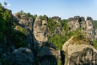 Plants on rocks against clear sky