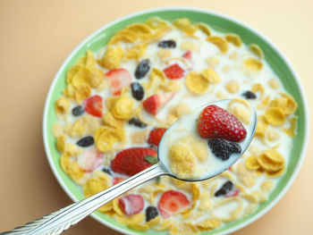 Close-up of fruits in bowl