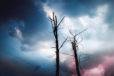 Low angle view of bare tree against sky