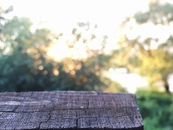 Close-up of wood against the sky
