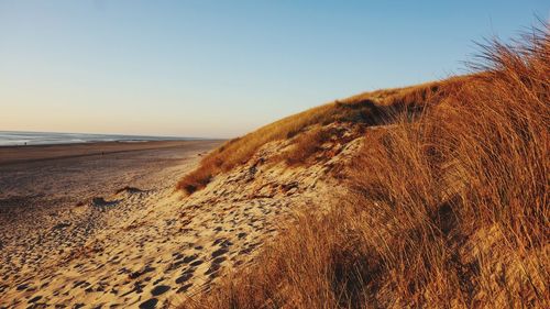 Scenic view of beach against clear sky