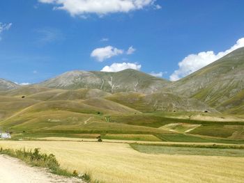 Scenic view of field against sky