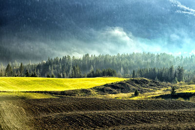 Scenic view of field against sky
