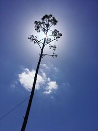 Low angle view of tree against blue sky