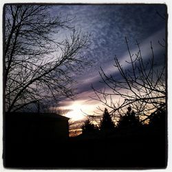 Silhouette of bare trees against sky at sunset