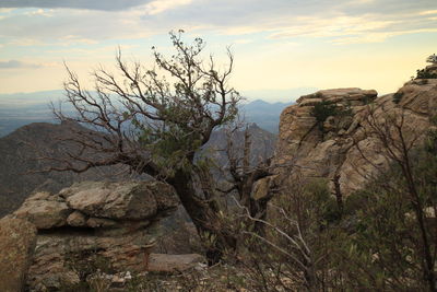 Scenic view of rock formation against sky