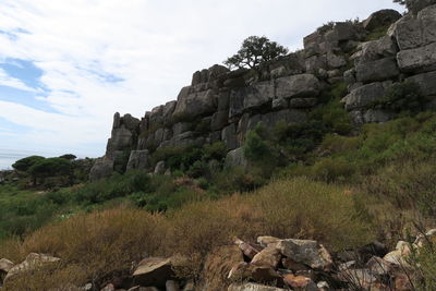 Low angle view of rock formation amidst trees against sky