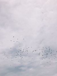 Low angle view of birds flying in sky