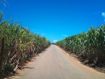 Country road along landscape